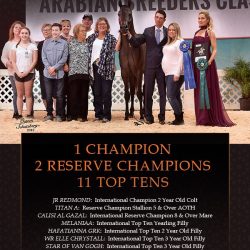 Lucho Guimaraes - Scottsdale Arabian Horse Show 2018